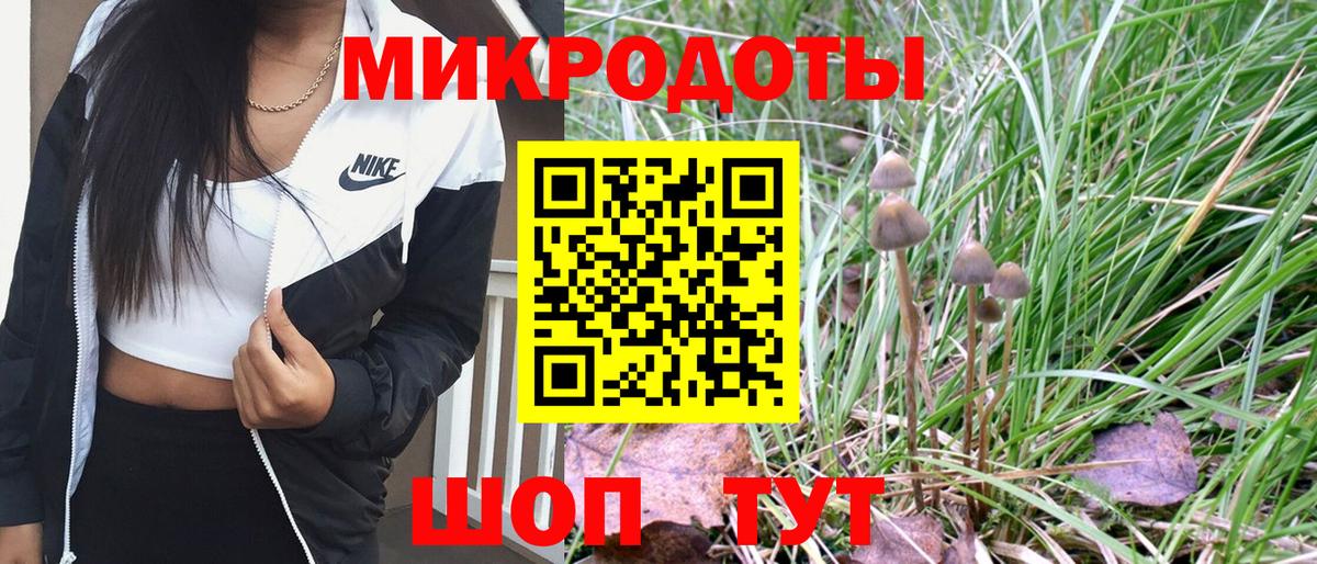 Псилоцибиновые грибы мицелий  Вход с VPN  Клин 